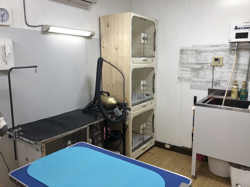 ワンちゃんの美容室ちびの内観3