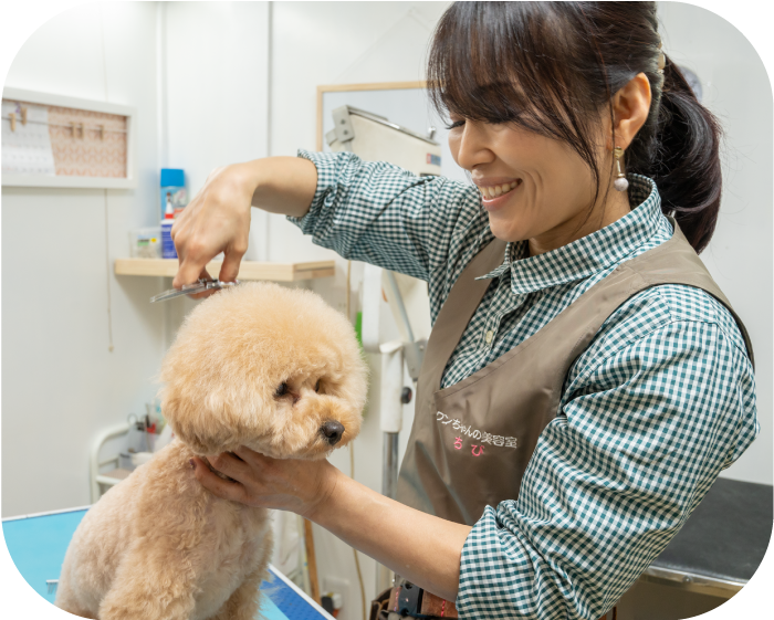 ワンちゃんの美容室ちびのオーナー
