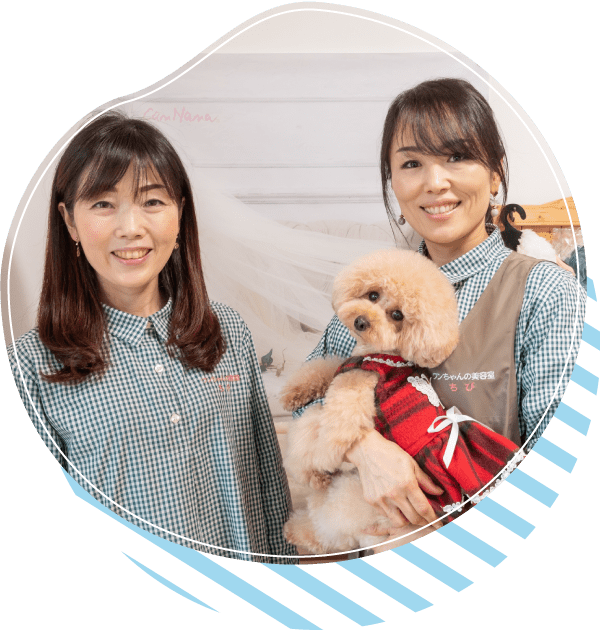 ワンちゃんの美容室ちびのスタッフ画像